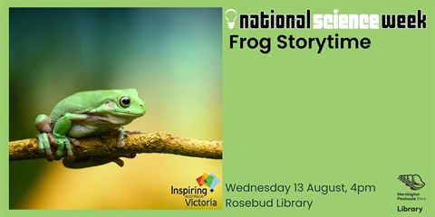 Frog Storytime ROS.jpg