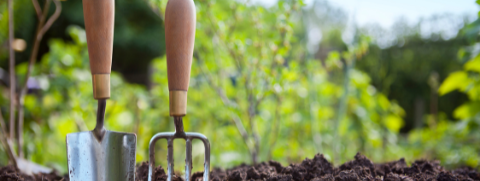 garden.png