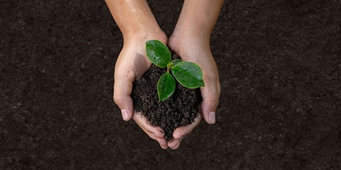 Soil.jpg